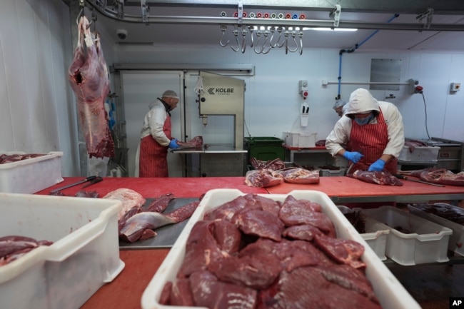 A butcher works on a shoulder of venison at Ben Rigby's venison meat facility in Mundon, England, Thursday, Oct. 31, 2024. (AP Photo/Alastair Grant)