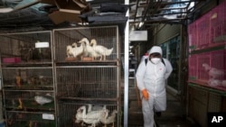 A worker sprays disinfectant as a precaution against the new coronavirus at Chatuchak Market in Bangkok, Thailand, on March 20, 2020. 