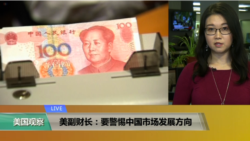 VOA连线(易林)：美副财长：要警惕中国市场发展方向
