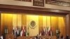 Libyan Rebels Welcome Arab League Call for No-Fly Zone