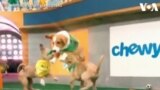 Puppy Bowl, Pertandingan Football dengan Anjing-Anjing Lucu