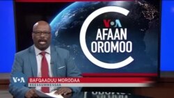 Tamsaasa Guyaadhaa Guyyaa