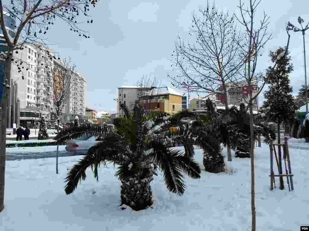 Shkodra snow 