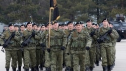 International Edition 2330 EDT