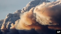 Sekelompok burung terbang saat asap membubung dari kebakaran hutan Fort McMurray di Kinosis, Alberta, Kanada (5/5). (Reuters/Mark Blinch)