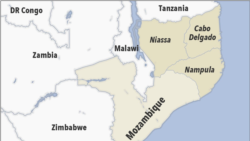 Amnesty: Hundreds Killed by Warring Forces in Mozambique