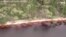 Aerial Footage Appears to Show Dead Whales in Tasmania 
