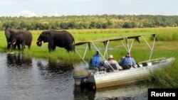 Turis mengamati gajah-gajah di tepi sungai Chobe dekat perbatasan Botswana dengan Zambia (foto: dok). Populasi gajah di Zambia lebih baik dari perkiraan semula. 