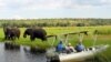 Pan-African Elephant Survey Yields Positive Results in Zambia 