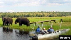 Foreign tourists in safari riverboats observe elephants along the Chobe river bank near Botswana's northern border where Zimbabwe, Zambia and Namibia. (File Photo)