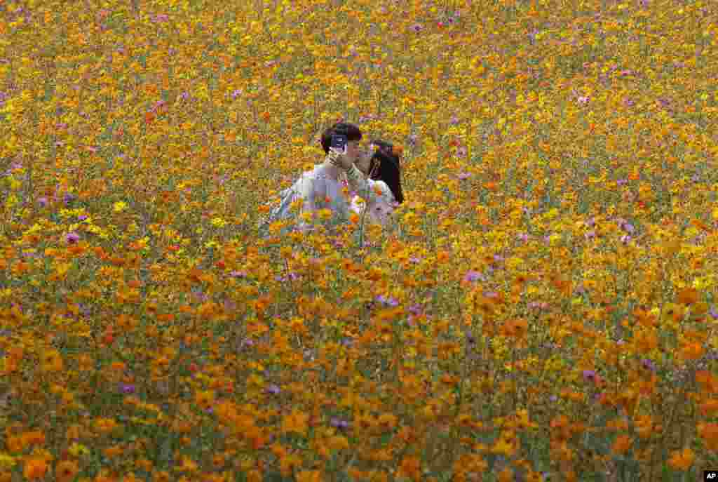 A couple kisses while they take a selfie in the middle of a cosmos field at Olympic Park in Seoul, South Korea.