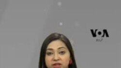 امریکہ میں پڑھائی: کنسلٹنٹ ہائر کرنے کا فائدہ ہے یا نقصان؟