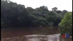 Le calvaire des populations riveraines du parc d’Odzala au Congo-Brazzaville (vidéo)