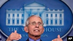 Dr. Anthony Fauci, director of the National Institute of Allergy and Infectious Diseases, speaks about the coronavirus in the James Brady Press Briefing Room of the White House, April 17, 2020, in Washington.
