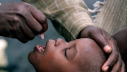 World Polio Day/Polio Eradication