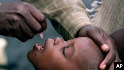 FILE - A Congolese child is given a polio vaccination at a relief camp near Gisenyi, Rwanda, Jan. 25 , 2002. The WHO says Zambia has reported its first local case of polio since 1995 in a 2-year-old boy paralysed by a virus derived from the vaccine. 