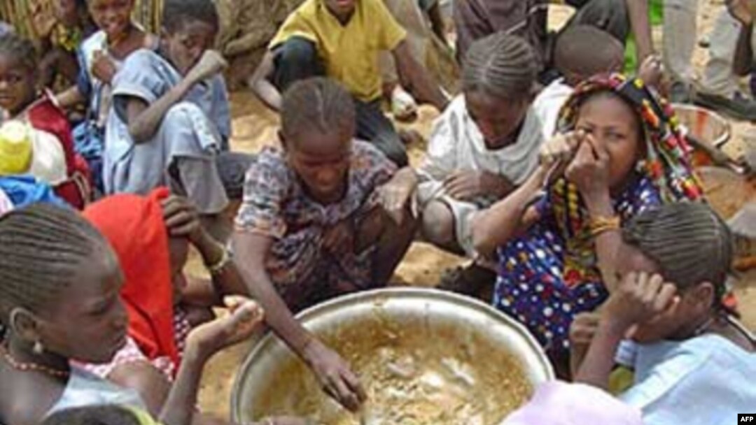 კლიმატის ცვლილება სურსათის უსაფრთხოებაზეც მოქმედებს