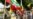 Myanmar Military Coup Talk Draws Concern from Western Embassies