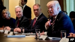 President Donald Trump speaks during a Cabinet Meeting, June 12, 2017, in the Cabinet Room of the White House in Washington.