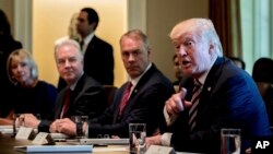 President Donald Trump speaks during a Cabinet Meeting, June 12, 2017, in the Cabinet Room of the White House in Washington.