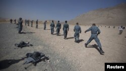 توقف موقت آموزش پلیس محلی افغانستان 