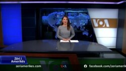 Ditari - Shqipëri, eksportuesit kërkojnë ndihmë përballë zhverësimit të valutave 