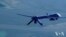 US drone