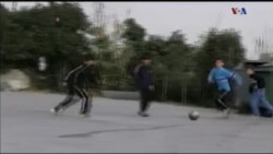 اخبار شامگاهی