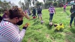 Լիմայում Շների Հալոուինի կոստյումների մրցույթի մասնակիցները