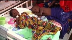 مرگ سالانه ۶۰۰ هزار نفر در اثر مالاریا