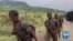 US Asks Americans to Leave Ethiopia as Rebels Advance Toward Capital