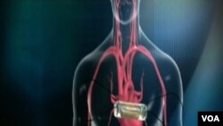 Dengan dikembangkannya teknologi kulit lenyur baru, fungsi tubuh utama, seperti jantung, orak, dan otot, dapat dipantau tanpa menggunakan kabel yang rumit dan lem karena menempel pada kulit tanpa perekat.