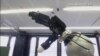 New Robotic Arm Can Grasp Moving Objects