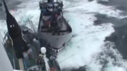 日本呼籲荷蘭對反捕鯨人士採取行動