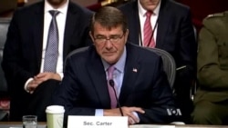 Carter Explains New Anti-IS Strategy to Skeptical US Lawmakers