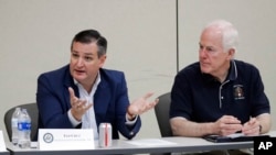 Los senadores republicanos, Ted Cruz y John Cornyn participaron el viernes de una mesa redonda con autoridades locales para tratar de conseguir una salida a la crisis que viven los niños separados de sus familias.