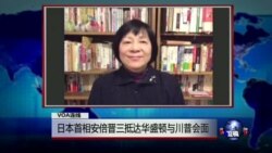 VOA连线(歌篮)：日本首相安倍晋三抵达华盛顿与川普会面