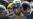 Human Rights Watch Calls for Zimbabwe Security Sector Reforms Ahead of Polls