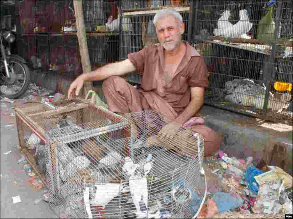ایک شخص مارکیٹ میں اپنے کبوتر لئے بیٹھا ہے۔ دکانوں کے علاوہ لوگ پنجروں میں پرندے لاکر فروخت کرتے ہیں