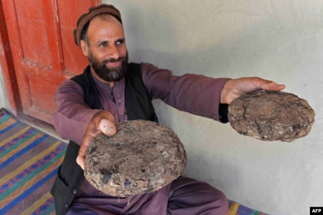 Seorang petani berusia 37 tahun, Mohaiyudeen, memamerkan paket opium setelah memanennya dari ladang opiumnya di distrik Surkh-Rod, Provinsi Nangarhar, Afghanistan, 28 Juni 2020. (Foto: AFP)