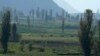 Una mujer camina junto a los campos de hortalizas y las vacas pastan en Huaywasi, en las afueras de La Paz, Bolivia, el jueves 10 de noviembre de 2022.