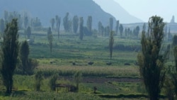 El gobierno boliviano trabaja para combatir la inseguridad alimentaria provocada por un clima adverso
