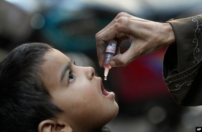 In this file photo, a health worker administers a polio vaccine to a child in Karachi, Pakistan, Monday, Jan. 8, 2024. (AP Photo/Fareed Khan, File)