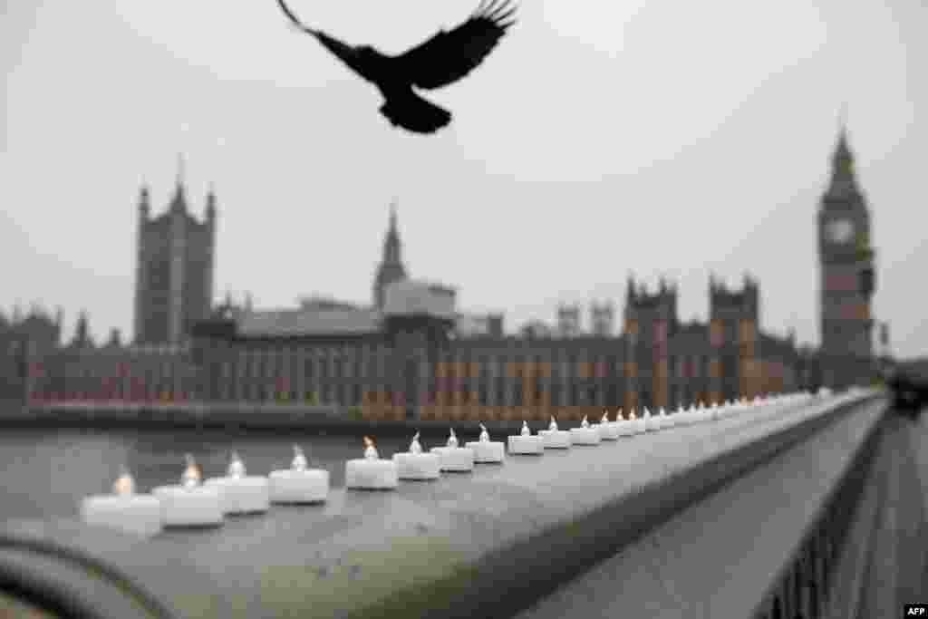 Seekor burung terbang di atas lilin-lilin yang diletakkan di jembatan Westminster sebagai penghormatan terhadap korban serangan teror di dekat gedung parlemen Inggris di London.