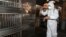 A worker sprays disinfectant in a live poultry market in Banchiao, New Taipei City, a suburb of Taipei, Taiwan, April 29, 2013. 