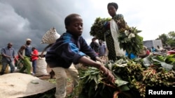 A boy sells Cassava leaves at a market in Bunagana, eastern Democratic Republic of Congo, Oct. 19, 2012.