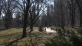 Само пет од 150 скулптури во Њујорк посветени на жените