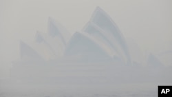 Sidney şehri de orman yangınları nedeniyle yoğun duman altında kaldı.