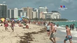 Չնայած կորոնավիրուսին, հազարավոր մարդիկ շտապում են դեպի Մայամի