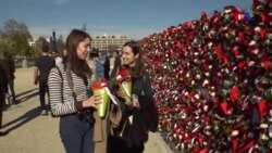 As flores da amizade e do amor